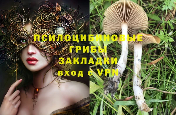 твердый Касимов