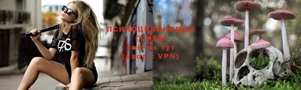 шишки Киреевск