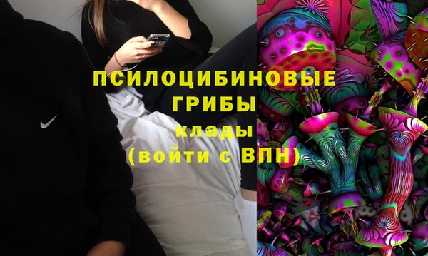 МДПВ Карталы
