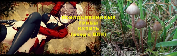 не бодяженный Карпинск