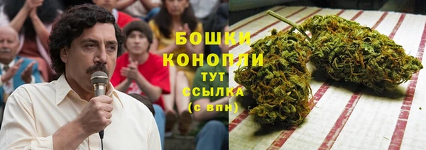 твердый Касимов