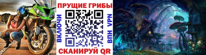 Купить закладки  Дегтярск  Галлюциногенные грибы Psilocybe 